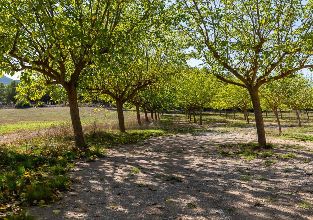 Masia Aubareda San Martín de Tous Dış mekan fotoğraf