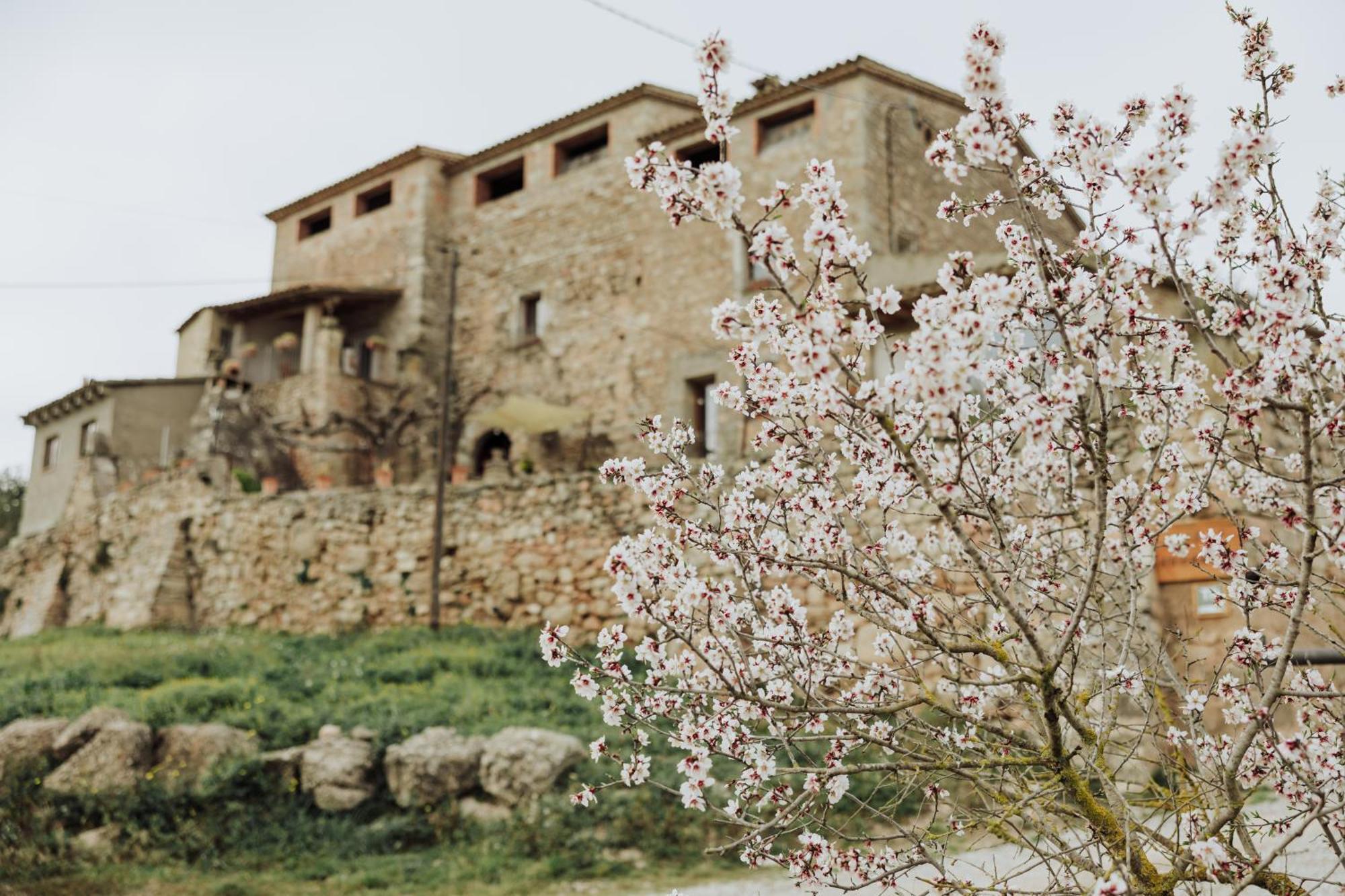 Masia Aubareda San Martín de Tous Dış mekan fotoğraf